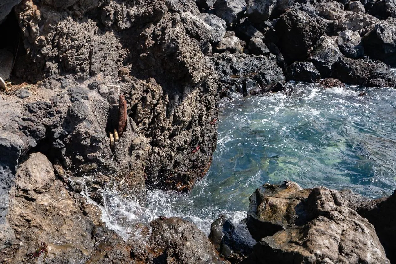 Breath-Taking Views On The First Line Of The Ocean Villa Santa Cruz de Tenerife 0*,